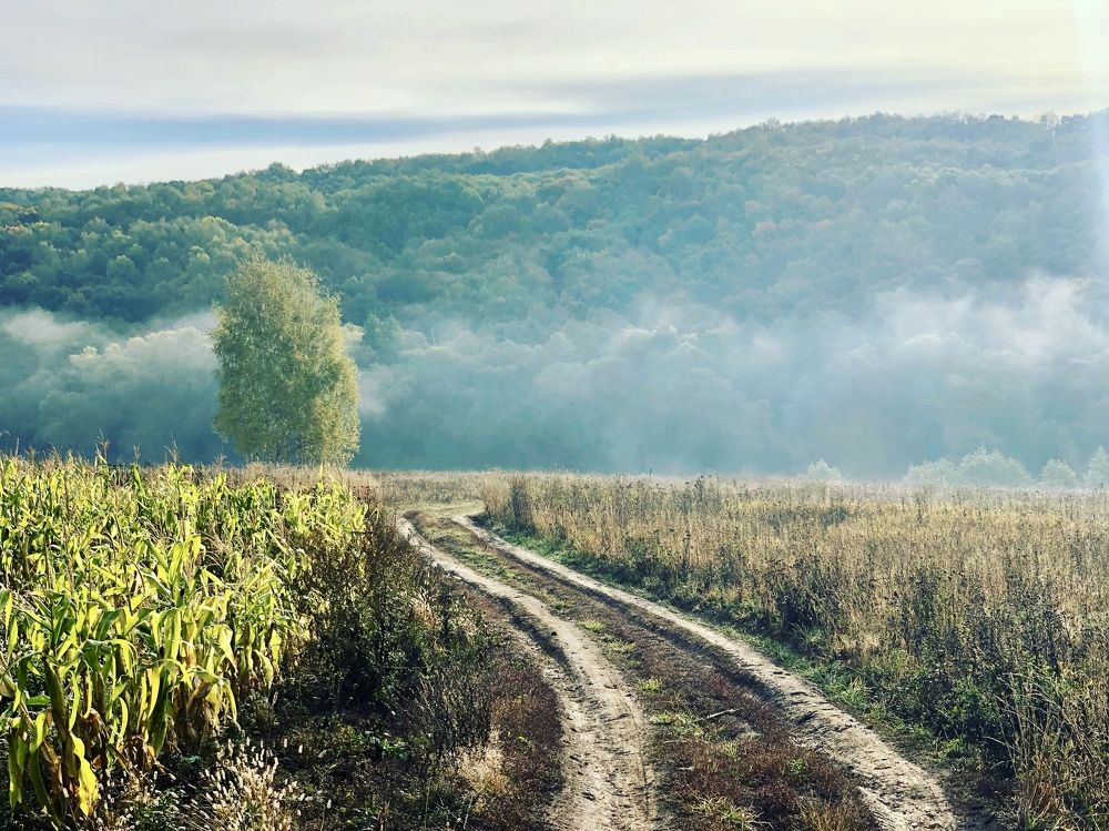 Photograph by Дмитрий