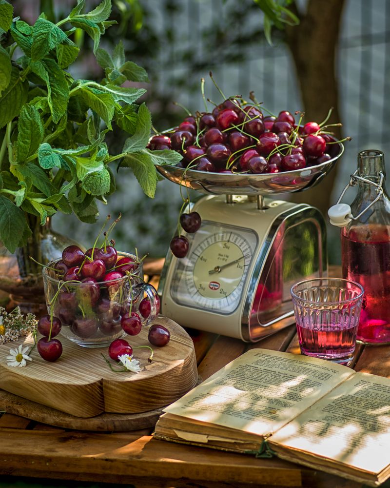 Photograph by Marina Lucenko