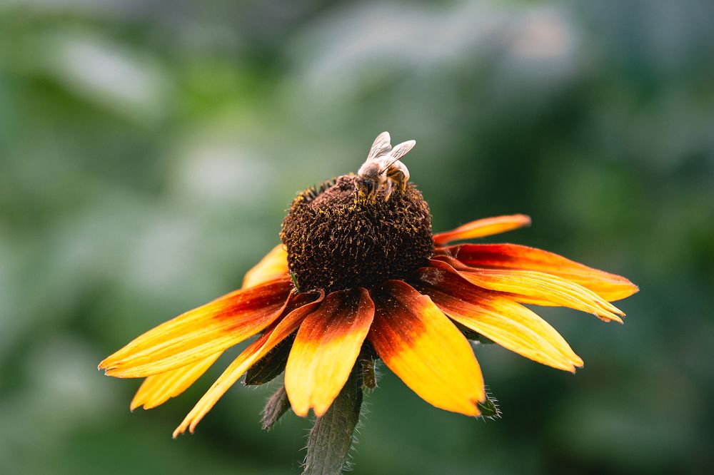 Photograph by Елена Сухарева