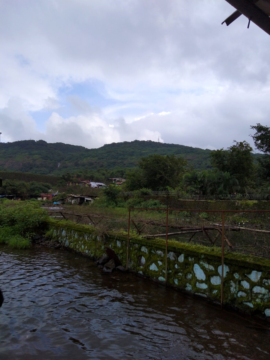 Photo #6417174