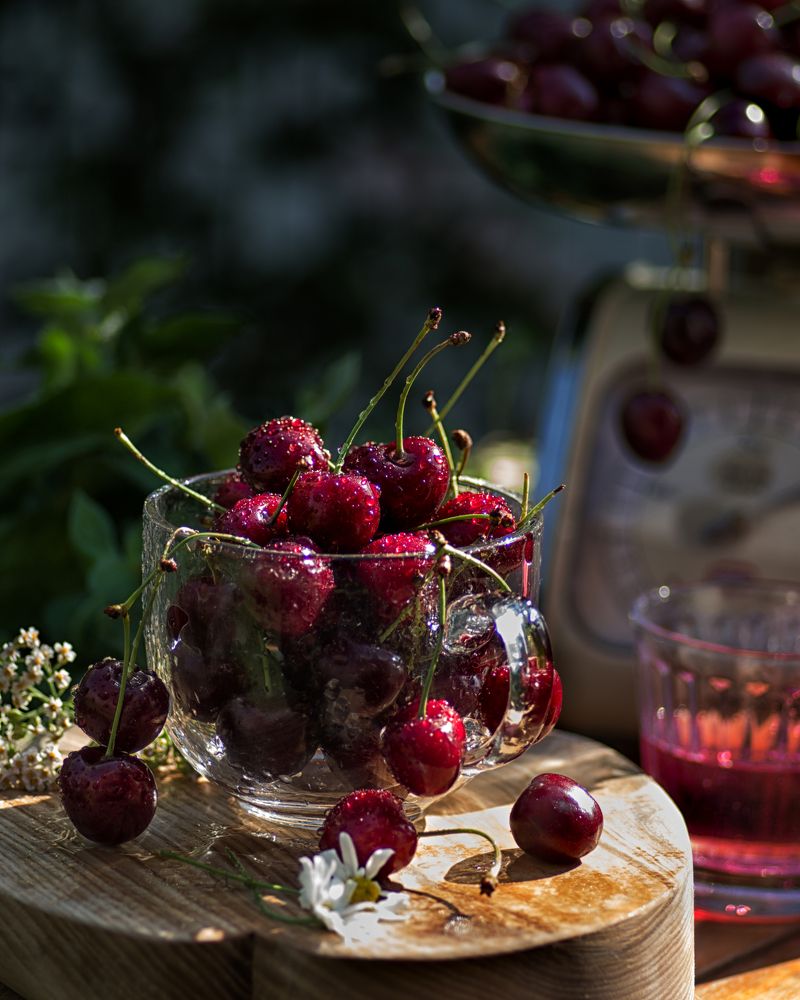 Photograph by Marina Lucenko