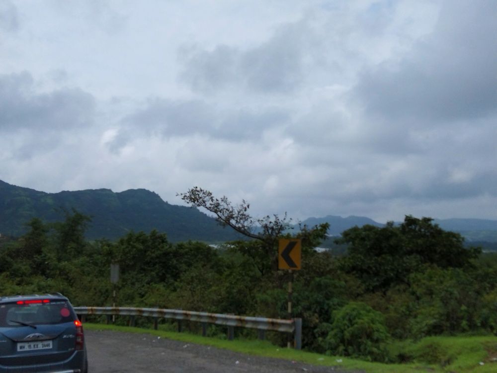 Photo #6417181