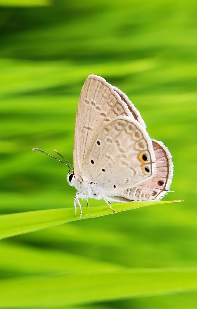 Photograph by Kumar Yeswanth