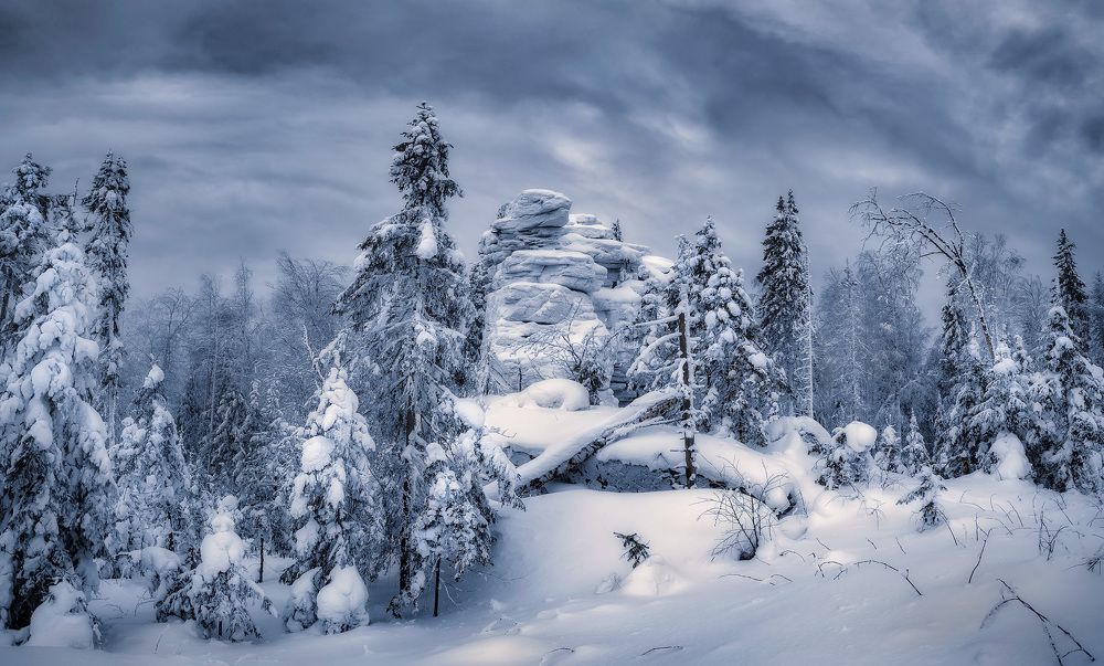 Photograph by Сергей Межин