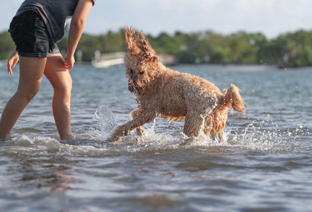 Photograph by Marvin Daniel Marroquin Najera