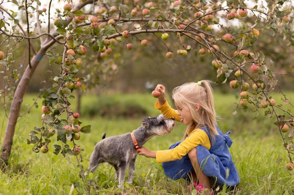 Фотография автора Надежда Воробьёва
