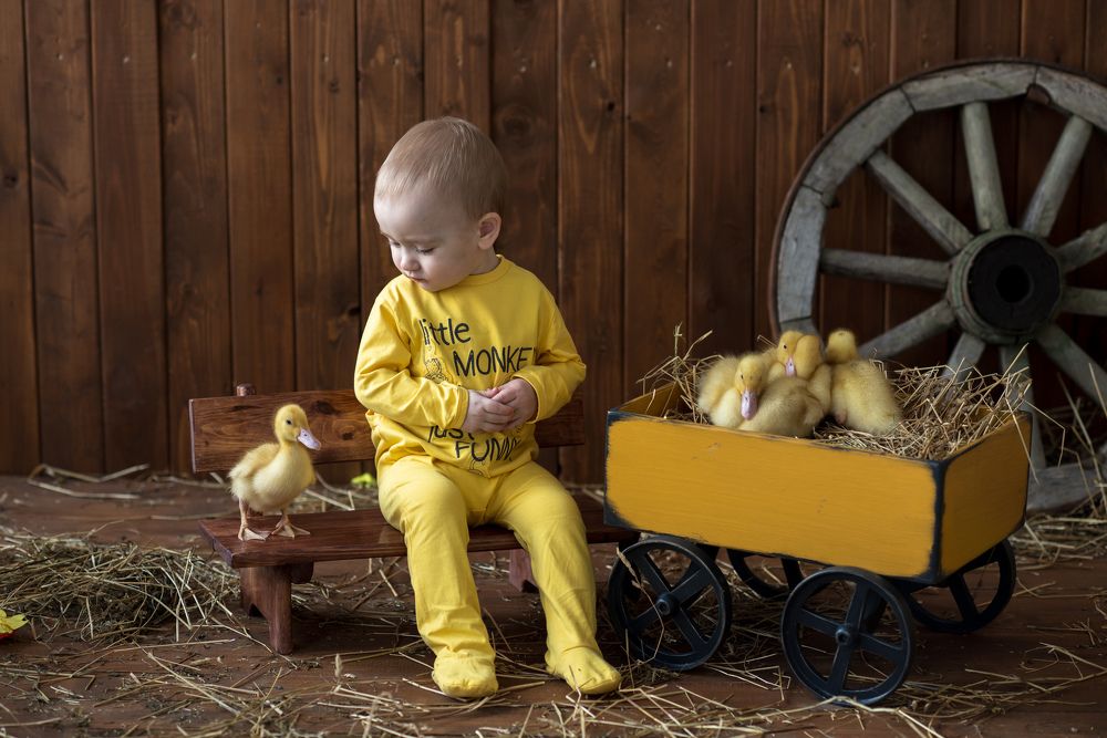 Photograph by Мария Усманова