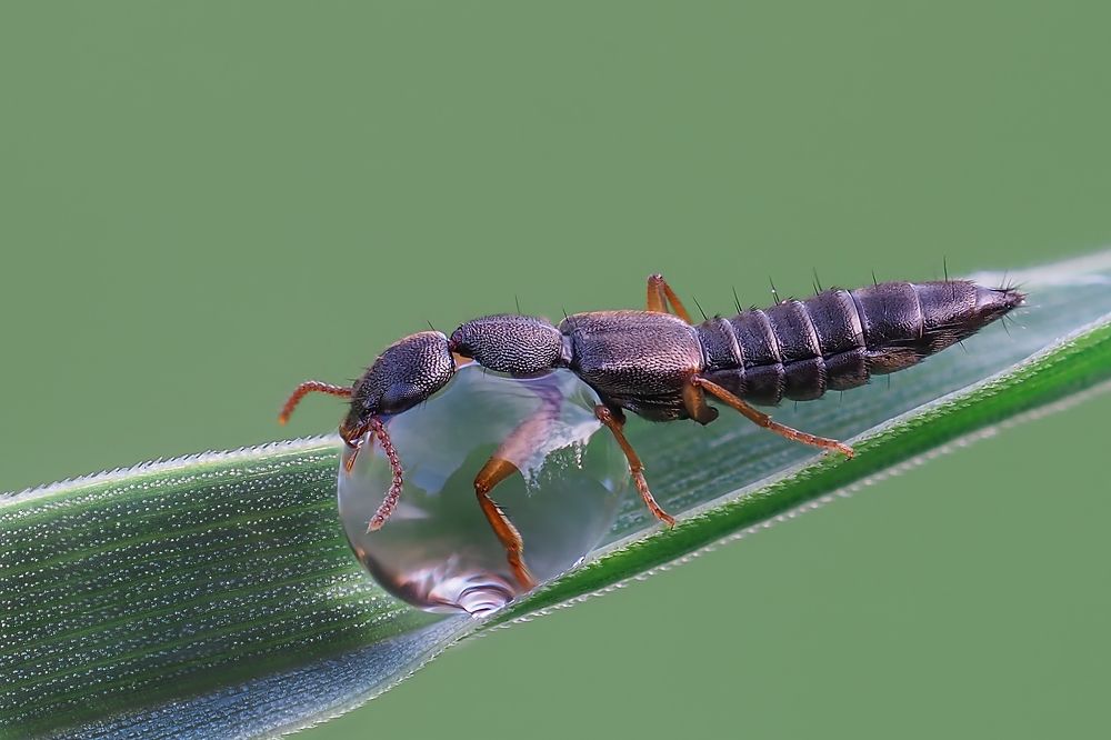 Photograph by Евгений Лукашук