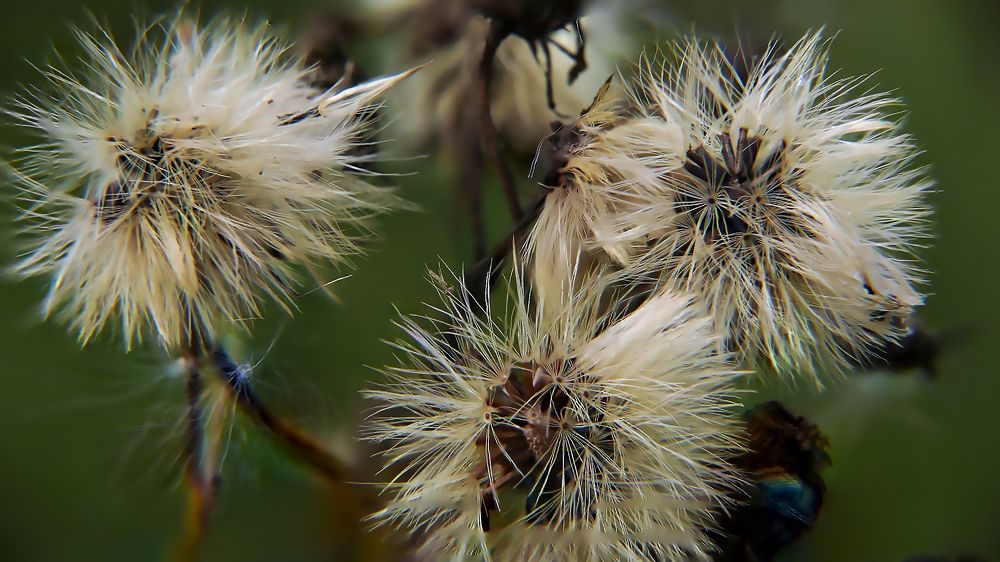 Photograph by Алексей Чернов