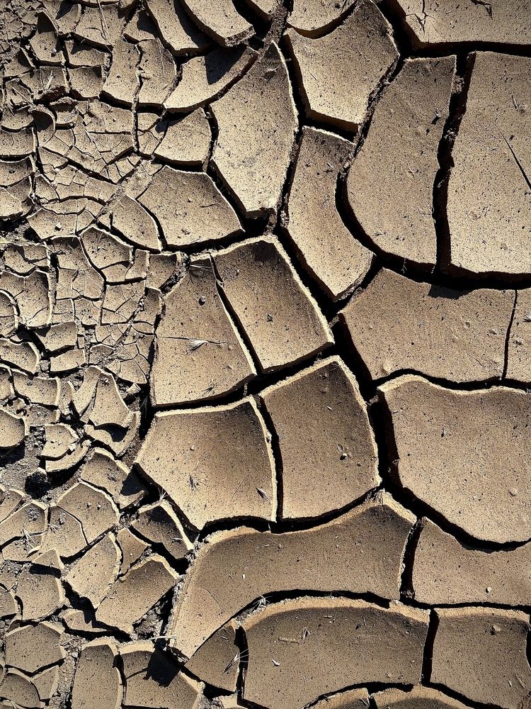 Photograph by Сергей Челахов