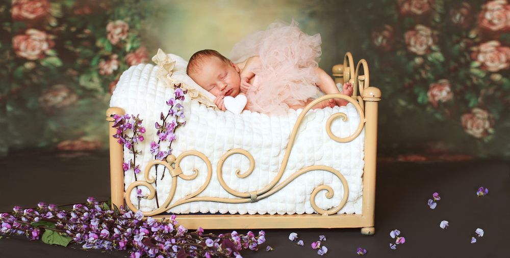 Photograph by Елена Неведицына