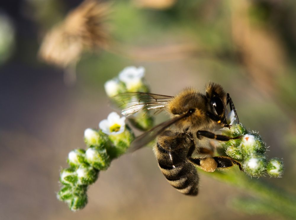 Photograph by Senthamilarasu