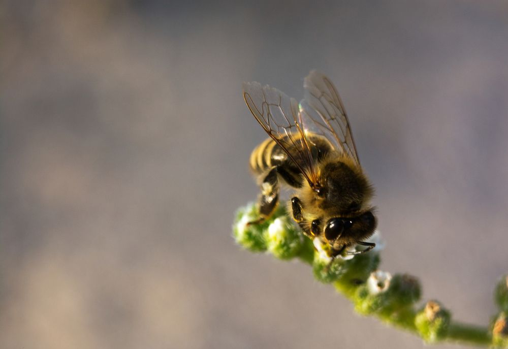 Photograph by Senthamilarasu
