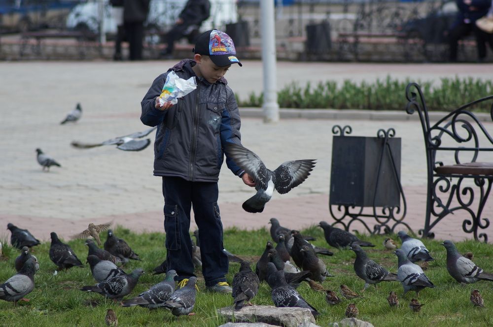 Photograph by Дмитрий Лобанов