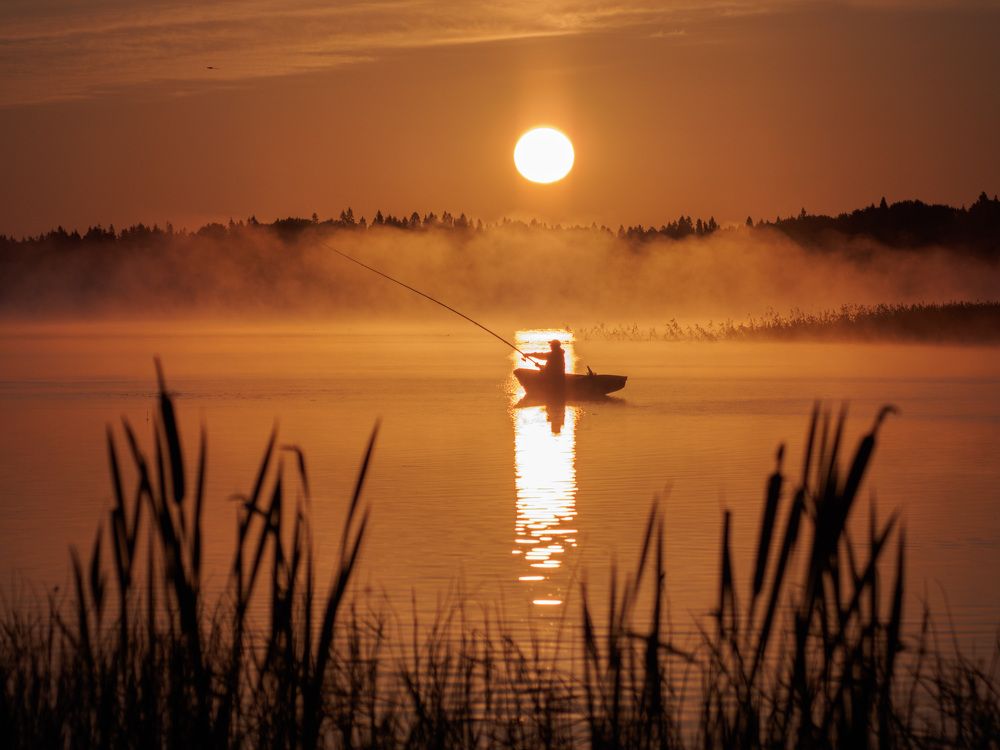 Photograph by Леонид Самойлов