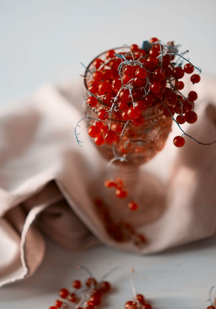 Photograph by Татьяна Шалкова