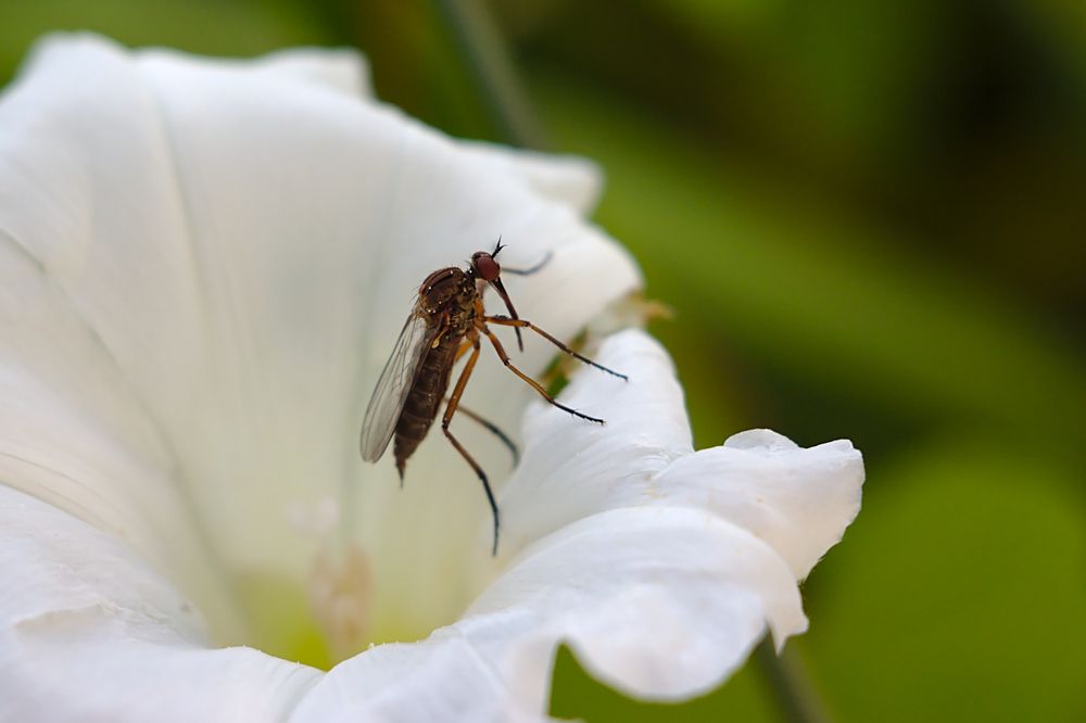 Photograph by Евгений Беленков