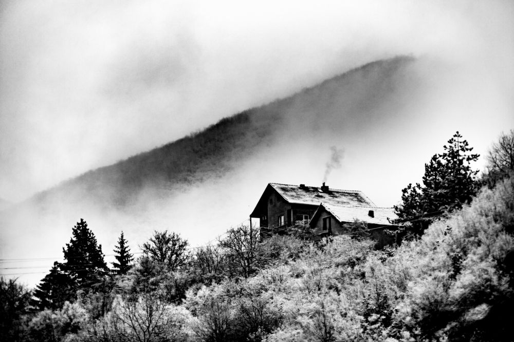 Фотография автора Ivelina Petkova