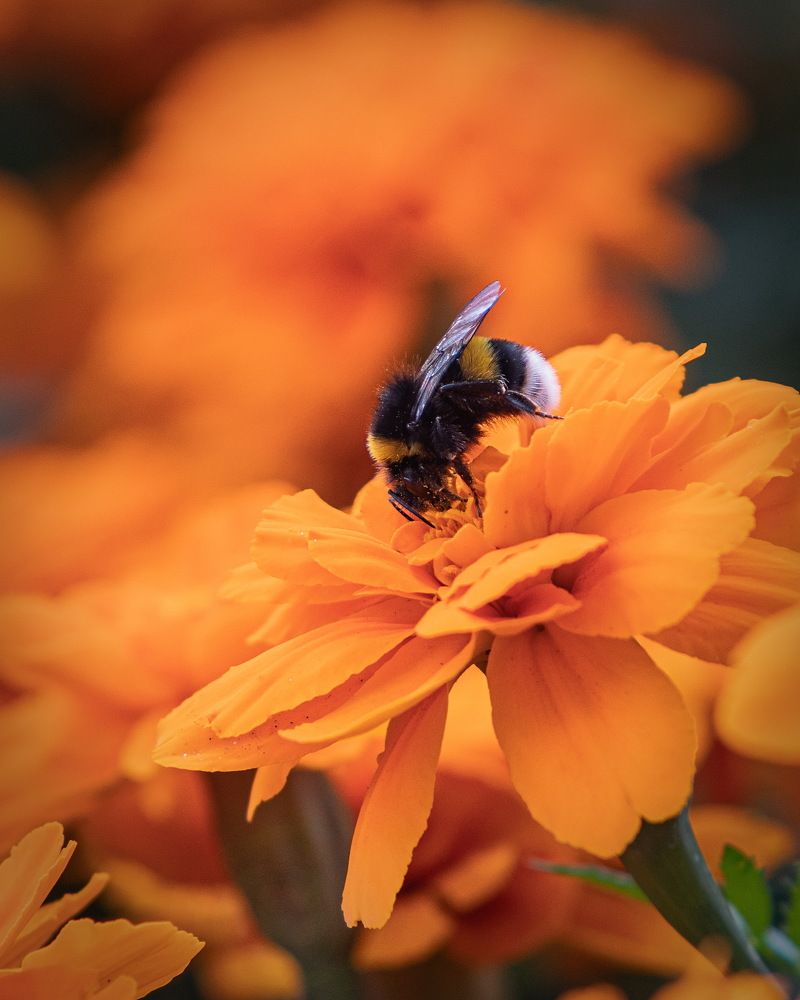 Photograph by Евгений Михеев