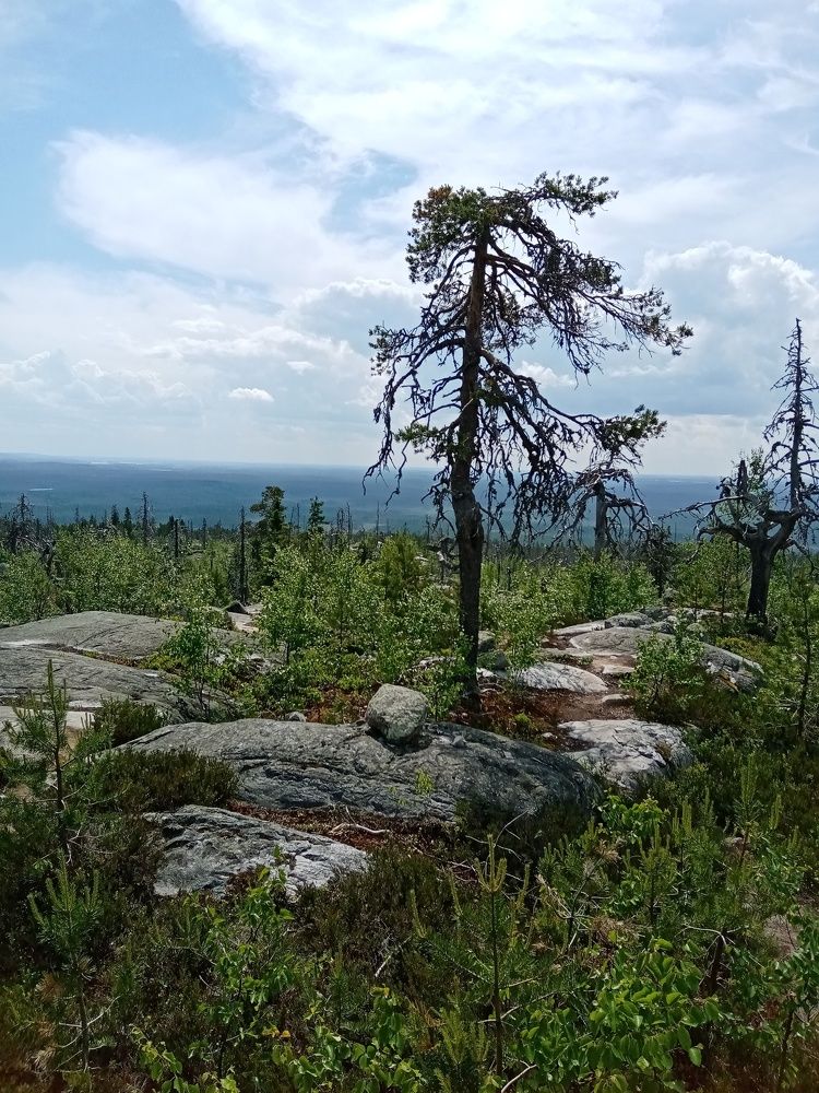 Фотография автора Natalia Khodina