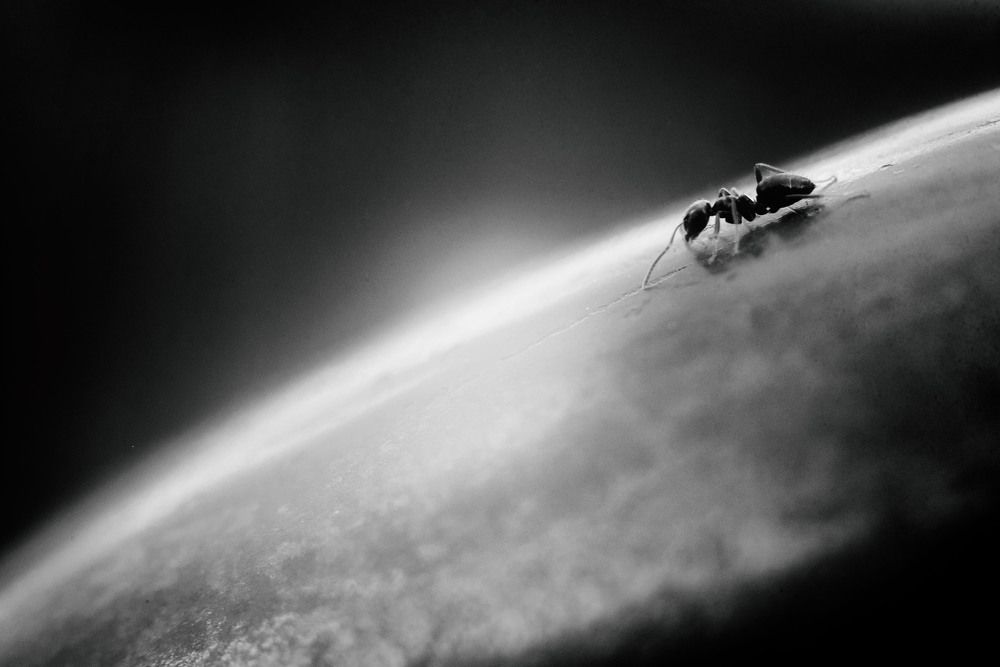 Фотография автора Паша Петров