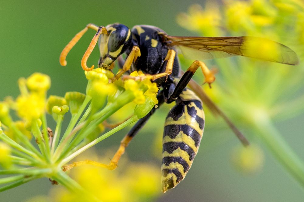 Photograph by Сергей Быченков
