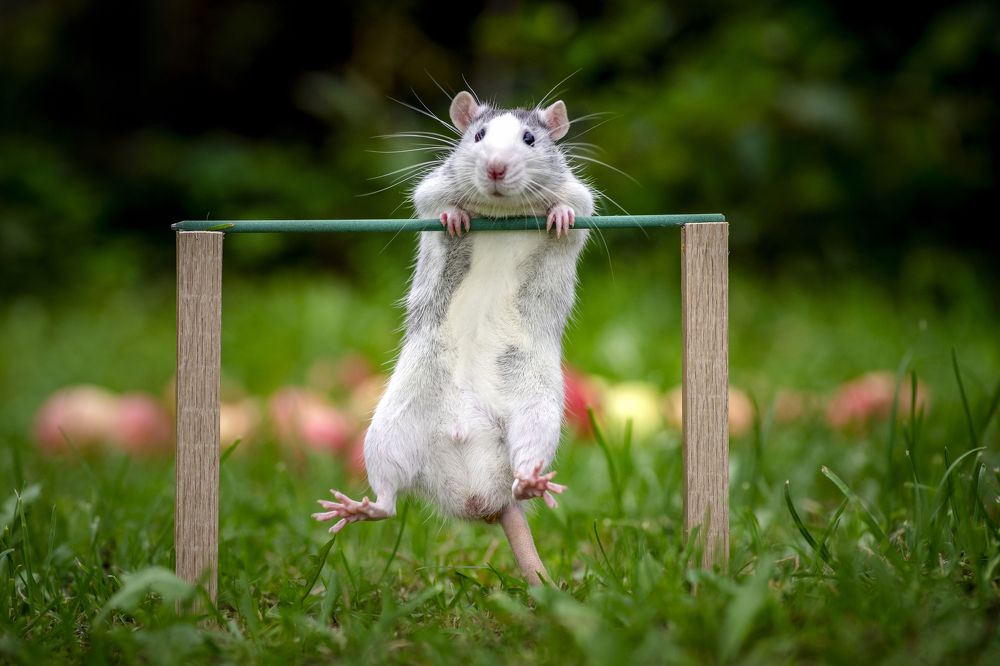 Photograph by Сергей Быченков