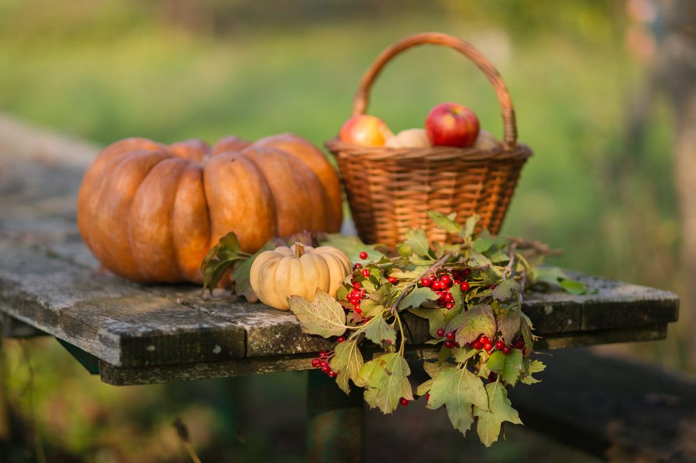 Фотография автора Дмитрий Вербицкий