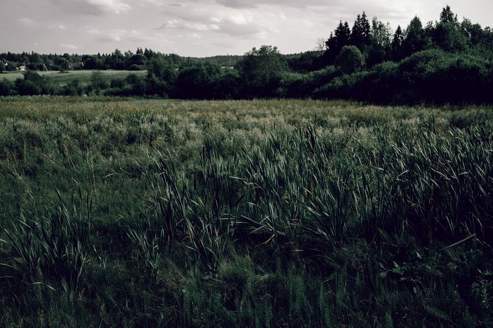 Photograph by Ольга Кушнарева