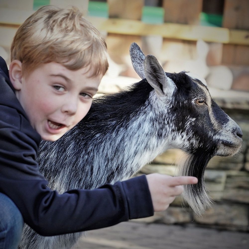 Photograph by Марина Безенкина