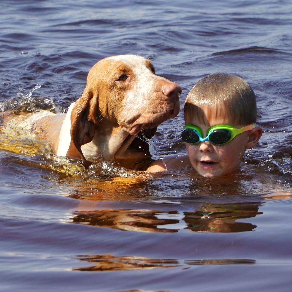 Photograph by Марина Безенкина