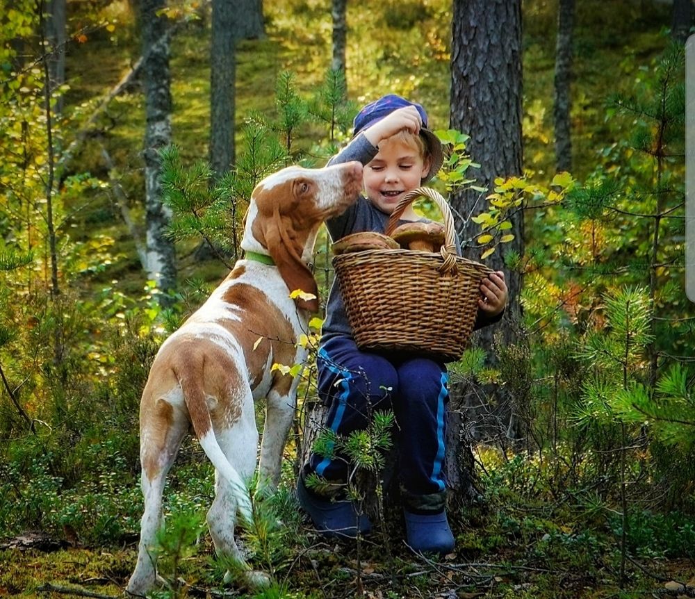 Photograph by Марина Безенкина
