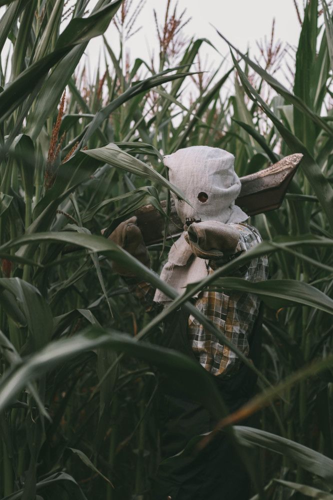 Photograph by Евгений Белов