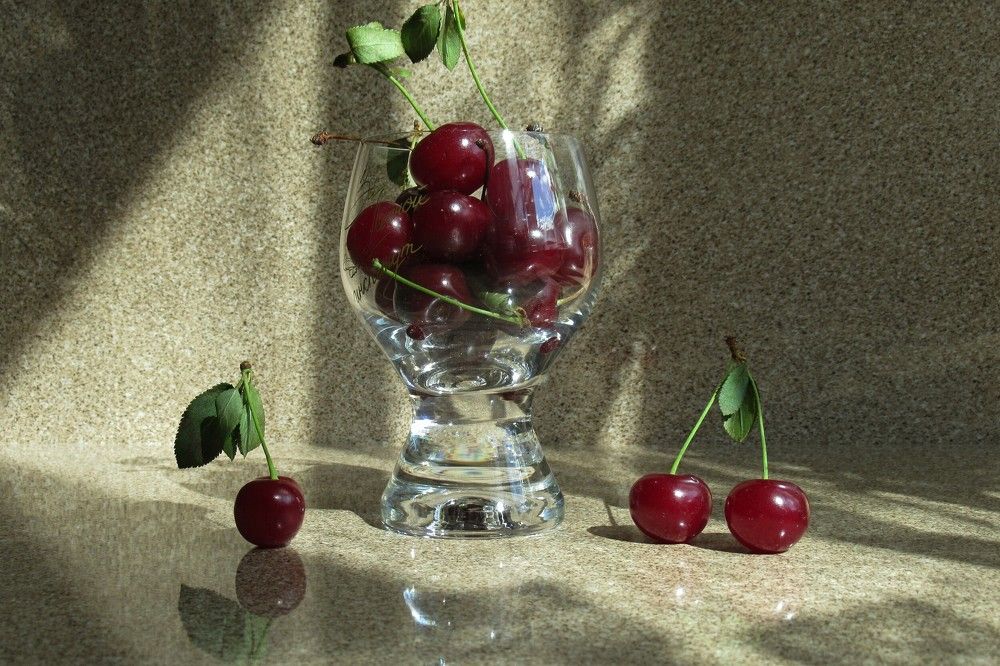 Photograph by 