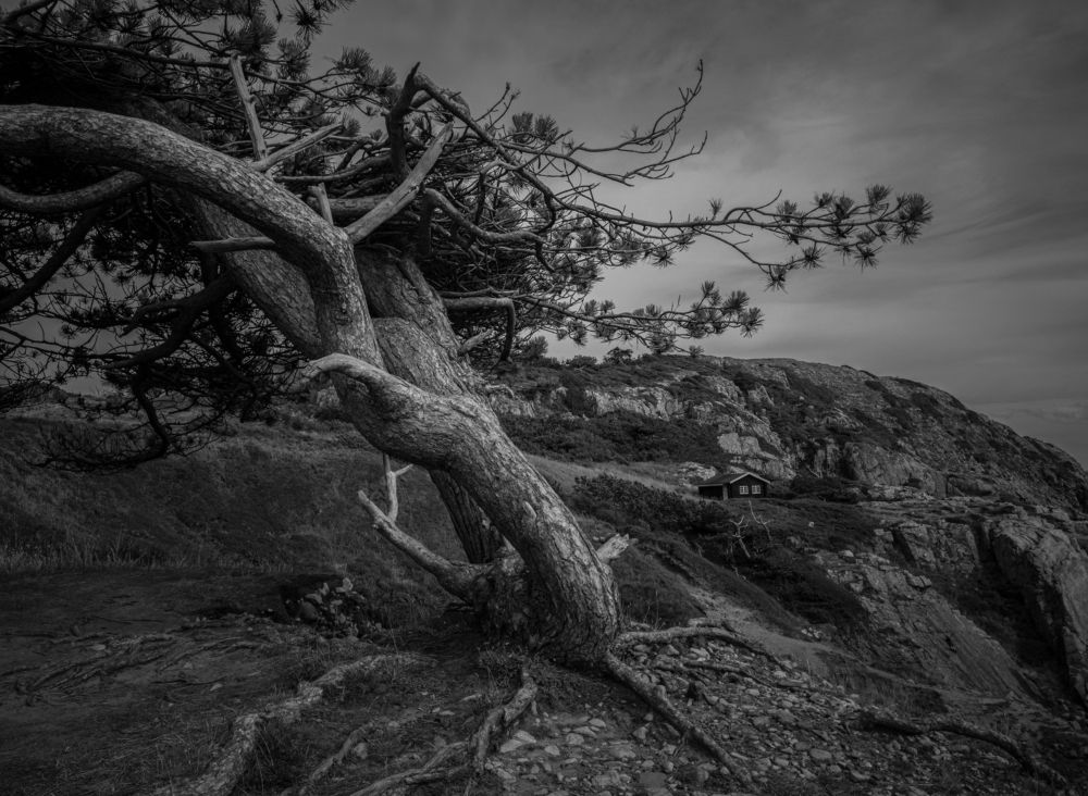 Photograph by Yousaf Khan