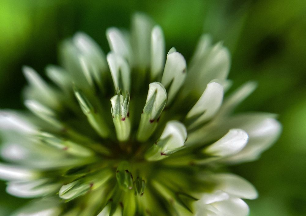 Фотография автора Екатерина Комиссарова