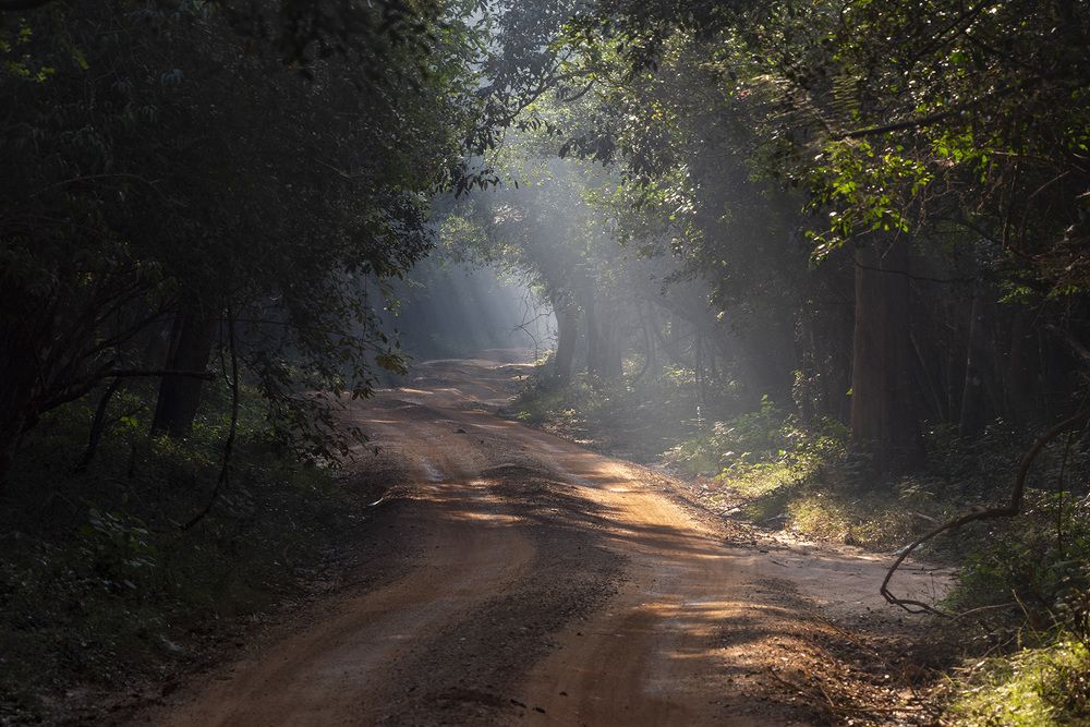 Photograph by SAMAN HALLOLUWA