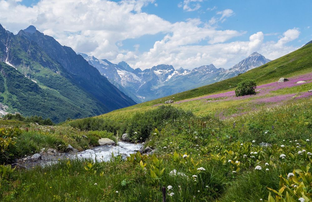 Photograph by Виктор Петров