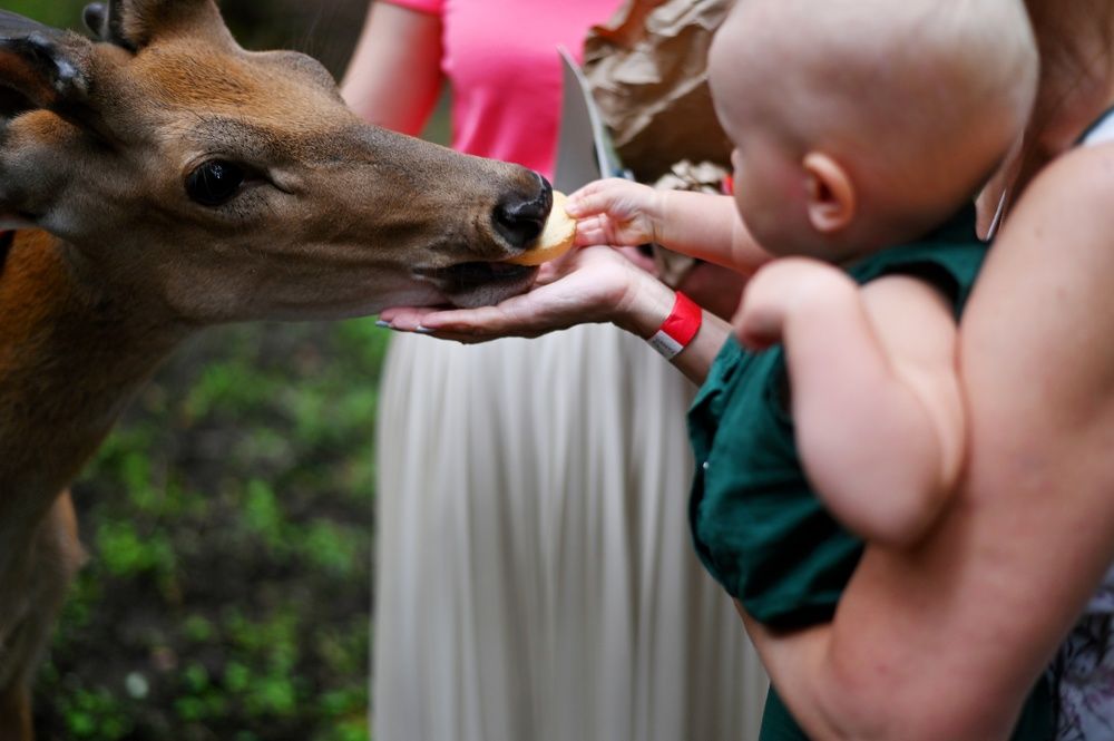 Photograph by Екатерина Дубровская