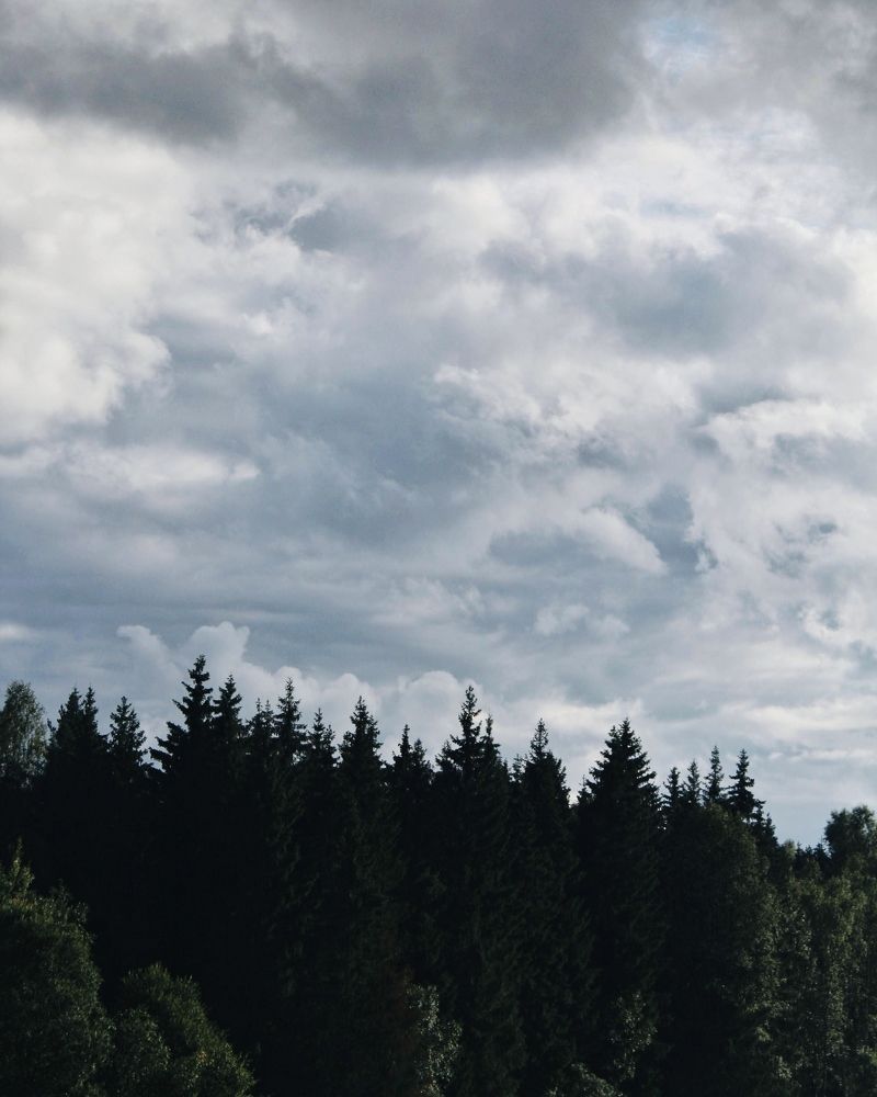 Photograph by Татьяна Никифорова