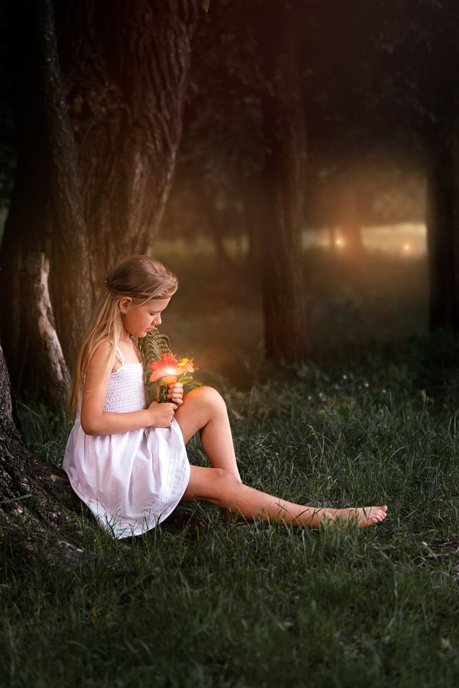 Папараць-кветка