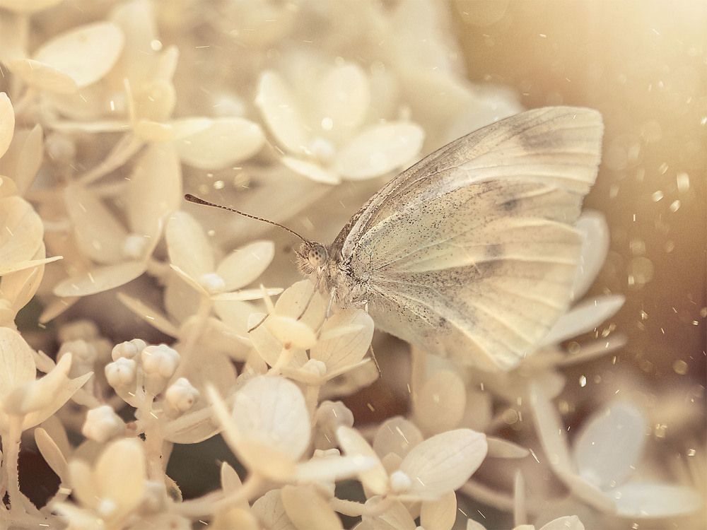 Photograph by Olga Rogozina