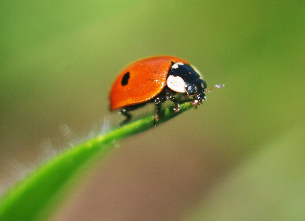 Photograph by Роман Приходько