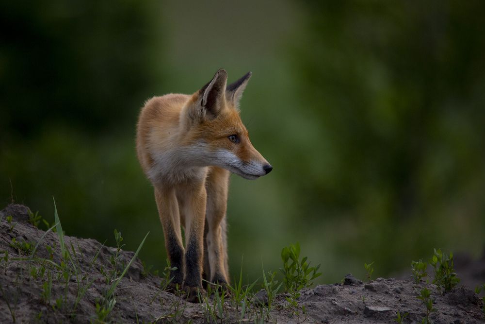 Photograph by Валерий Черняк