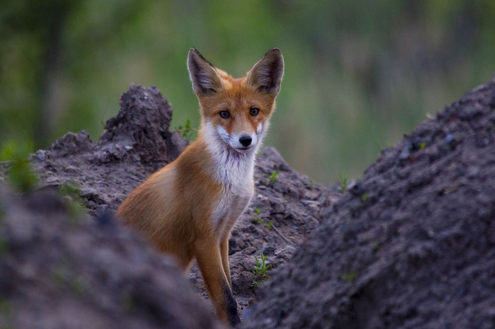 Photograph by Валерий Черняк