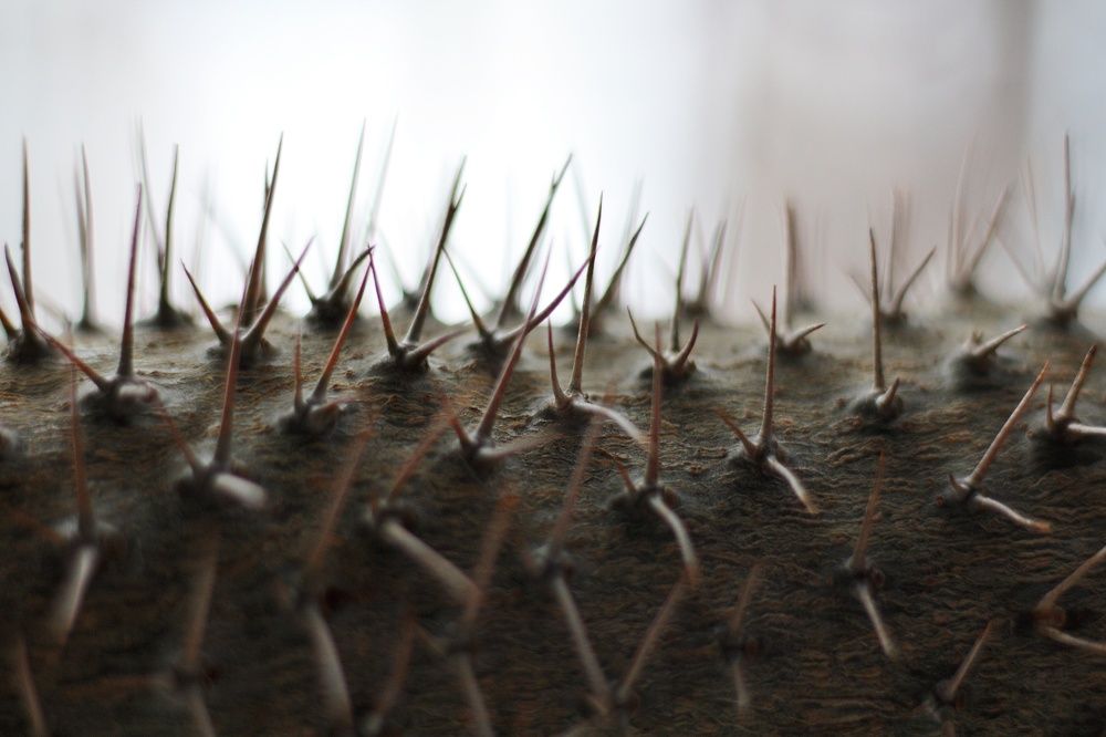 Фотография автора Татьяна Степанова