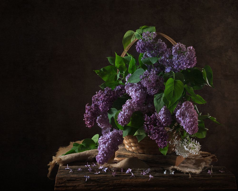 Photograph by Анжелика Королева