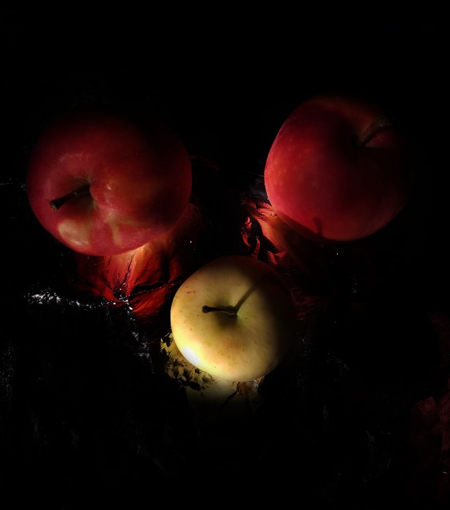 Photograph by Stasia Kirilina