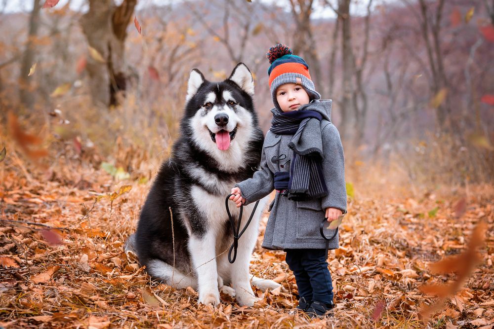 Photograph by Julia Moiseenko