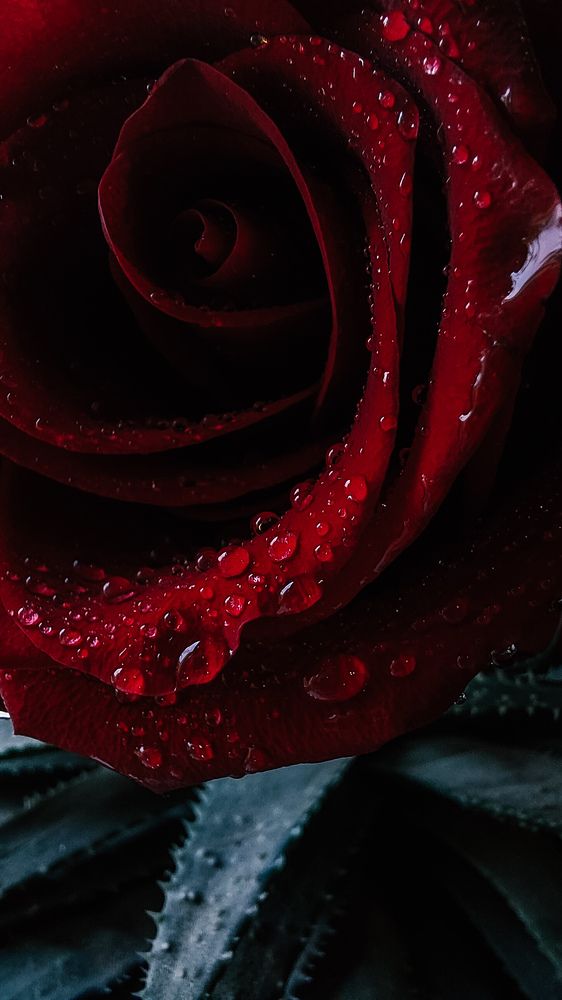 Photograph by Ксения Перетятько